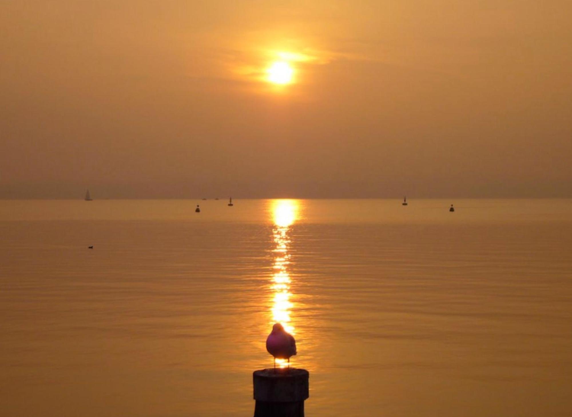 The Riva Apartment Sirmione Buitenkant foto